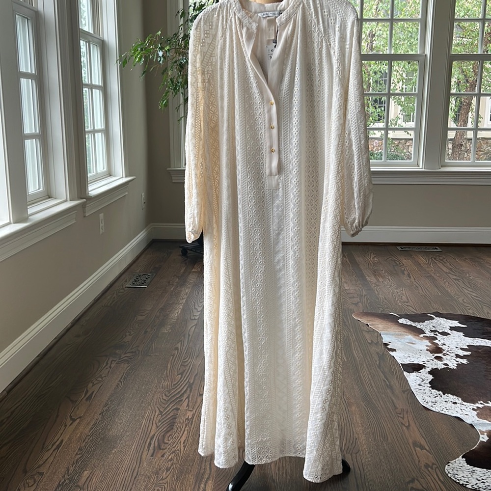 Zara dress